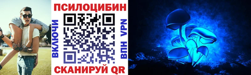 Псилоцибиновые грибы прущие грибы Чекалин